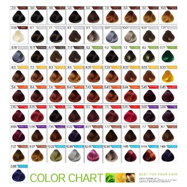 Bremod Hair Color – Vibrant, Long-Lasting Shades